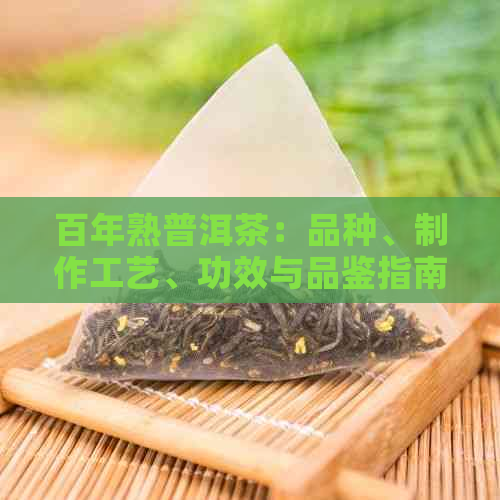 百年熟普洱茶：品种、制作工艺、功效与品鉴指南，一篇全面的解答