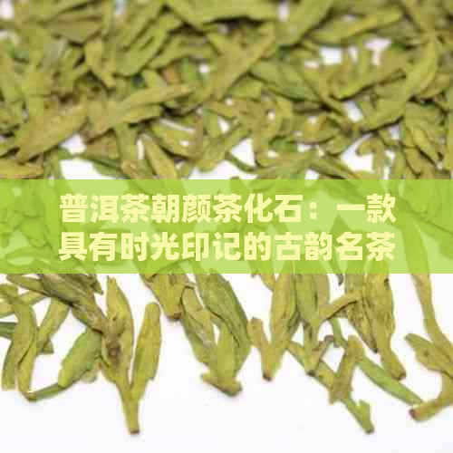 普洱茶朝颜茶化石：一款具有时光印记的古韵名茶