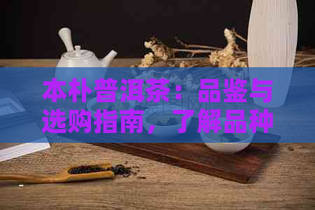 本朴普洱茶：品鉴与选购指南，了解品种、工艺与泡法，助您成为普洱茶专家