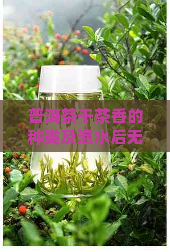 普洱茶干茶香的种类及泡水后无香的原因，香气浓是否代表好茶？