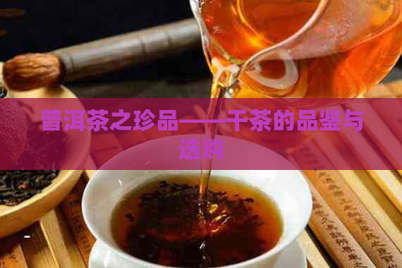 普洱茶之珍品——干茶的品鉴与选购