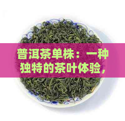 普洱茶单株：一种独特的茶叶体验，带你领略自然之恩赐