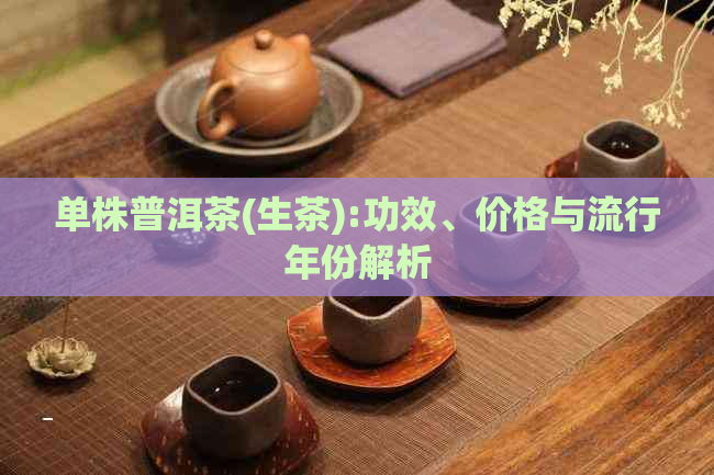 单株普洱茶(生茶):功效、价格与流行年份解析