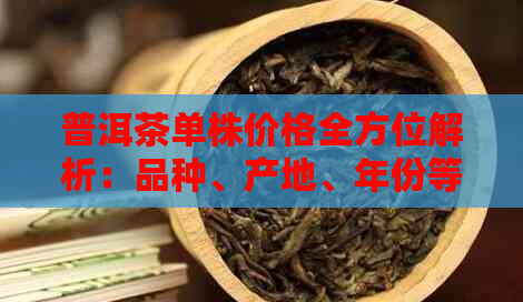 普洱茶单株价格全方位解析：品种、产地、年份等多个因素影响茶叶价值