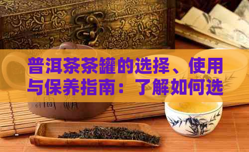 普洱茶茶罐的选择、使用与保养指南：了解如何选购、泡制和保存您的普洱茶