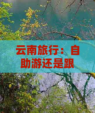 云南旅行：自助游还是跟团游？哪个更适合你？