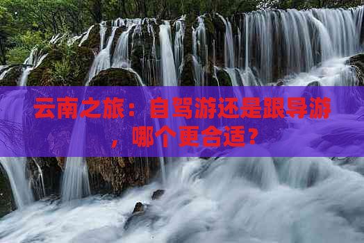 云南之旅：自驾游还是跟导游，哪个更合适？