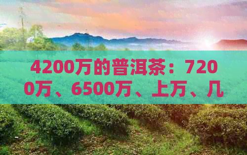 4200万的普洱茶：7200万、6500万、上万、几万块和400克价格对比与分析