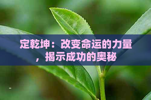 定乾坤：改变命运的力量，揭示成功的奥秘