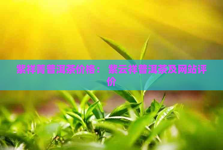 紫祥菁普洱茶价格： 紫云祥普洱茶及网站评价