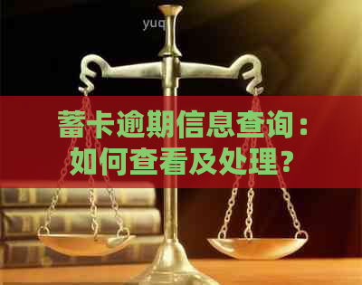 蓄卡逾期信息查询：如何查看及处理？