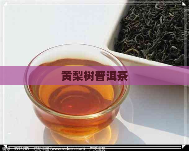 黄梨树普洱茶