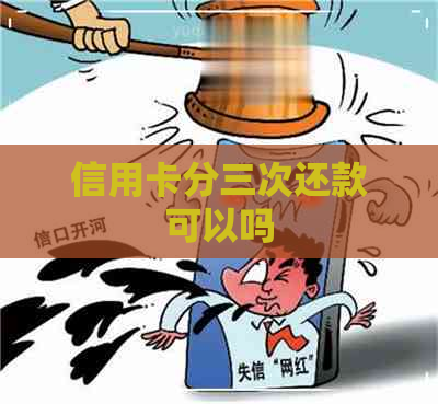 信用卡分三次还款可以吗