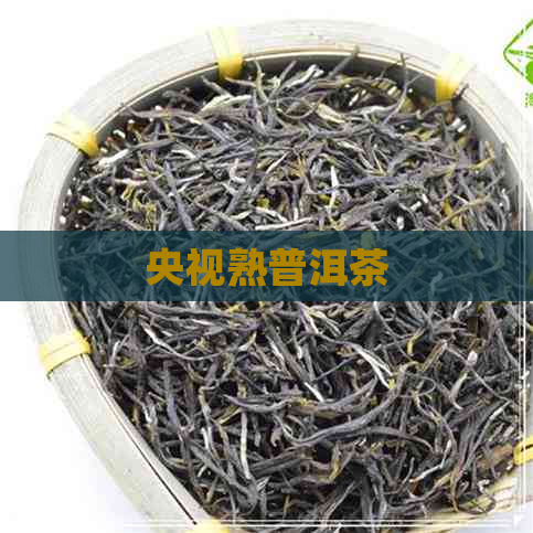 央视熟普洱茶