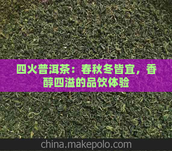 四火普洱茶：春秋冬皆宜，香醇四溢的品饮体验