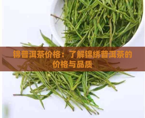 锦普洱茶价格：了解锦绣普洱茶的价格与品质