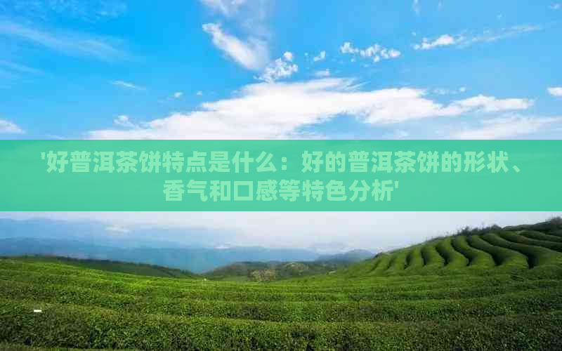 '好普洱茶饼特点是什么：好的普洱茶饼的形状、香气和口感等特色分析'