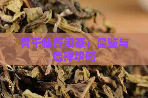 青干桔普洱茶：品鉴与选择攻略