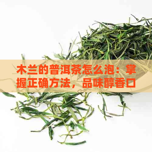 木兰的普洱茶怎么泡：掌握正确方法，品味醇香口感