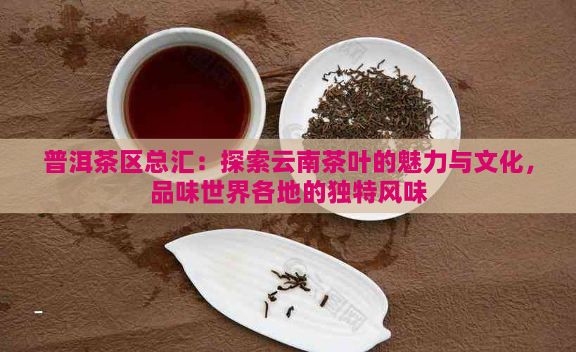 普洱茶区总汇：探索云南茶叶的魅力与文化，品味世界各地的独特风味