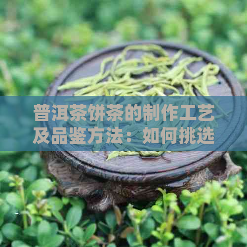 普洱茶饼茶的制作工艺及品鉴方法：如何挑选、保存和品尝普洱茶饼？