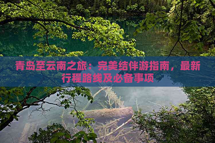 青岛至云南之旅：完美结伴游指南，最新行程路线及必备事项