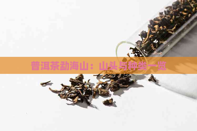 普洱茶勐海山：山头与种类一览