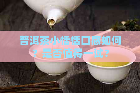 普洱茶小恬恬口感如何？是否值得一试？