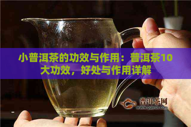 小普洱茶的功效与作用：普洱茶10大功效，好处与作用详解