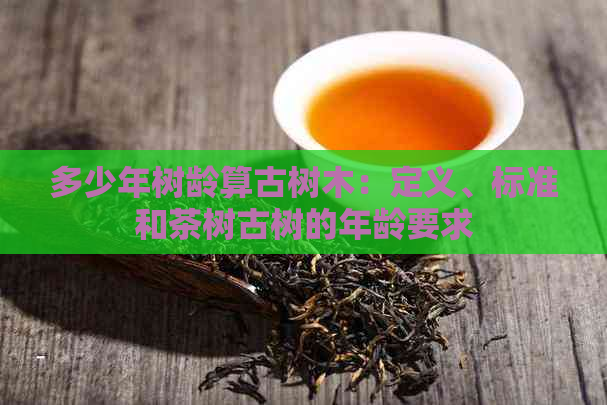 多少年树龄算古树木：定义、标准和茶树古树的年龄要求