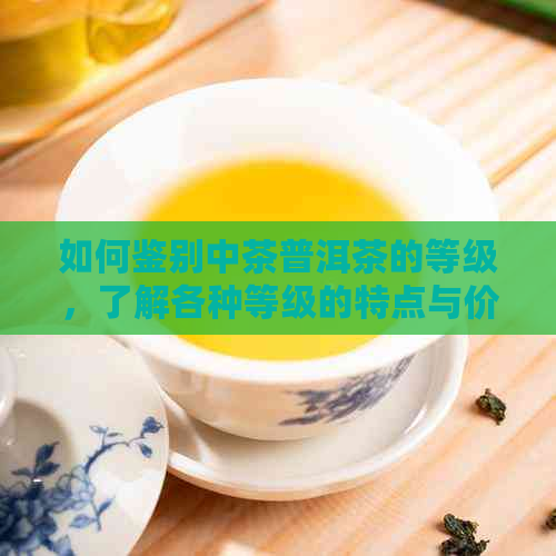 如何鉴别中茶普洱茶的等级，了解各种等级的特点与价值？