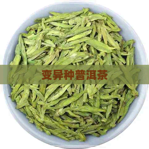 变异种普洱茶