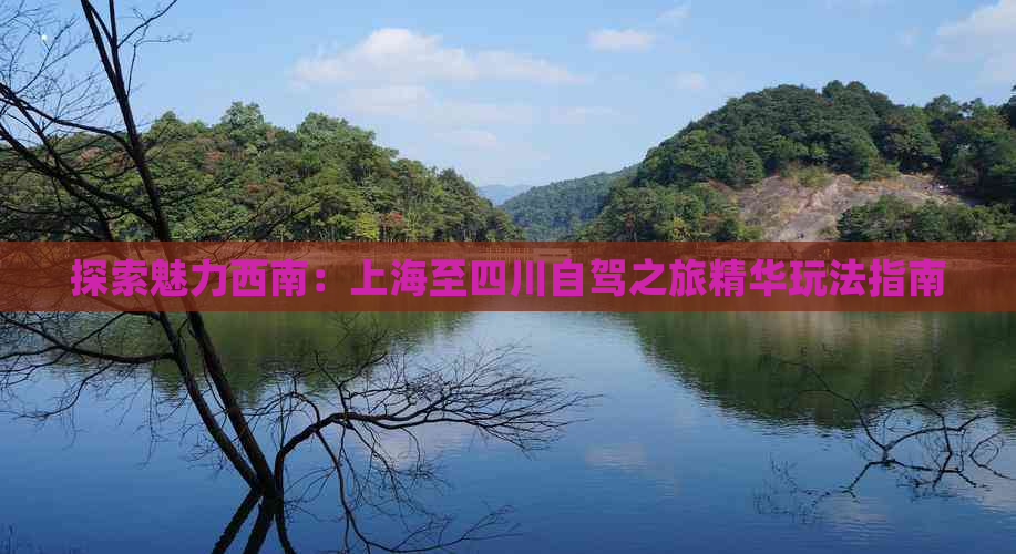 探索魅力西南：上海至四川自驾之旅精华玩法指南