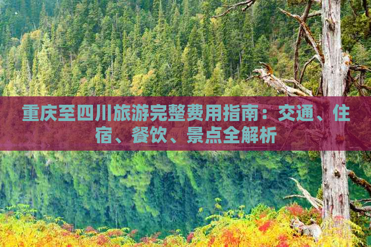 重庆至四川旅游完整费用指南：交通、住宿、餐饮、景点全解析