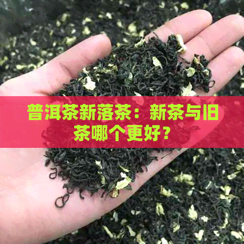 普洱茶新落茶：新茶与旧茶哪个更好？