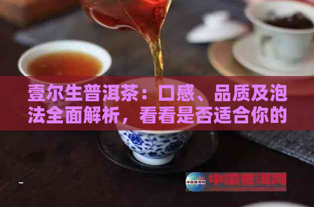 壹尔生普洱茶：口感、品质及泡法全面解析，看看是否适合你的口味？