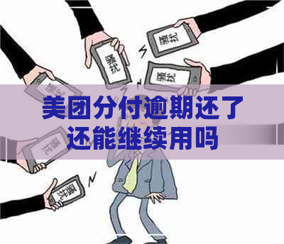 美团分付逾期还了还能继续用吗