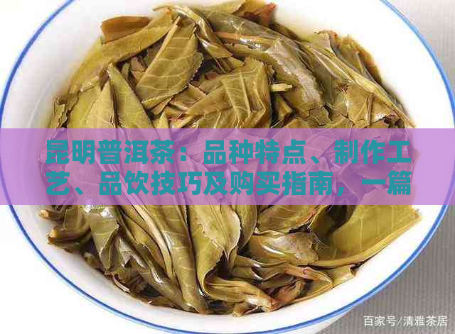 昆明普洱茶：品种特点、制作工艺、品饮技巧及购买指南，一篇全面解答！