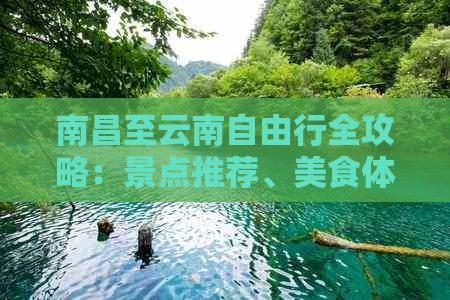 南昌至云南自由行全攻略：景点推荐、美食体验、住宿指南及行程安排