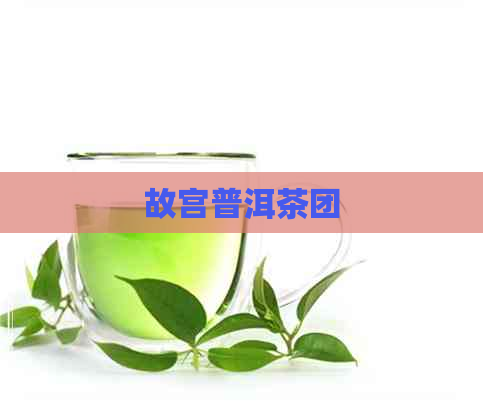 故宫普洱茶团