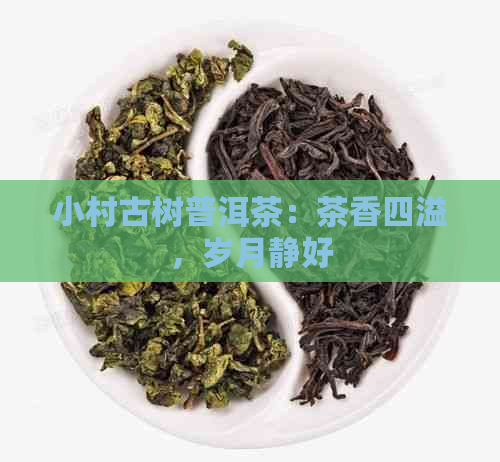 小村古树普洱茶：茶香四溢，岁月静好