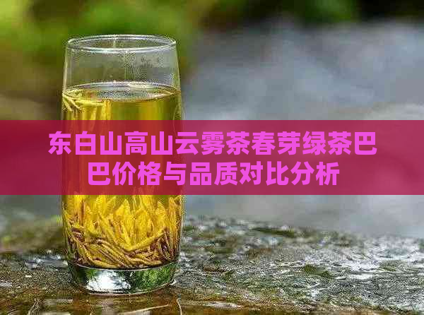 东白山高山云雾茶春芽绿茶巴巴价格与品质对比分析