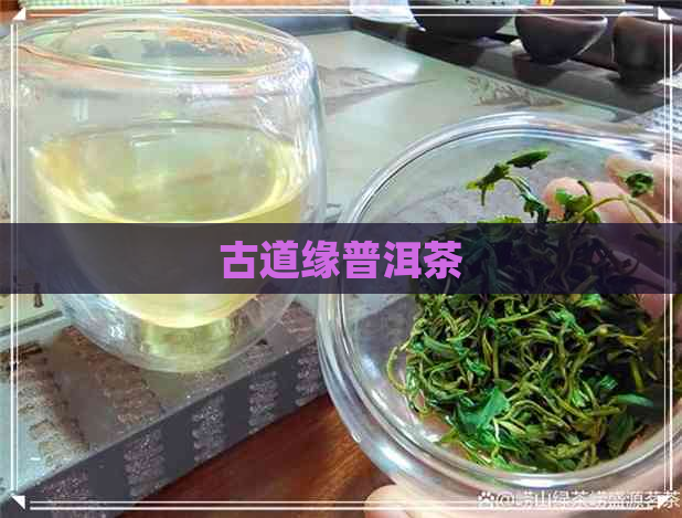 古道缘普洱茶