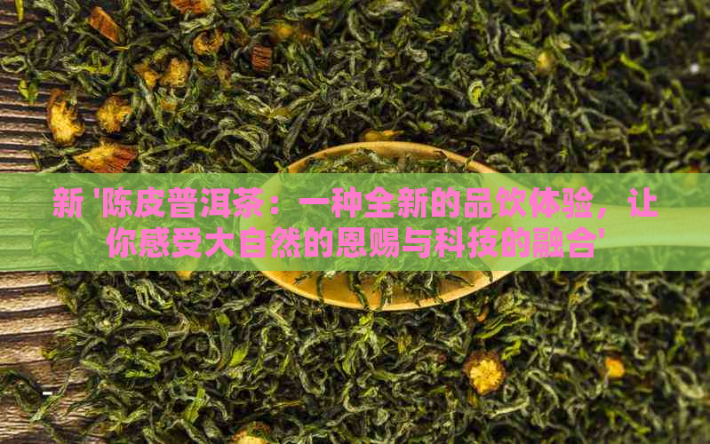 新 '陈皮普洱茶：一种全新的品饮体验，让你感受大自然的恩赐与科技的融合'