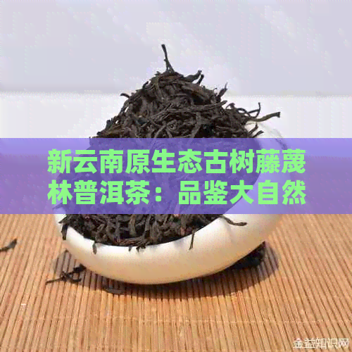 新云南原生态古树藤蔑林普洱茶：品鉴大自然的馈赠