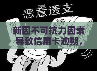 新因不可抗力因素导致信用卡逾期，该如何应对与解决？