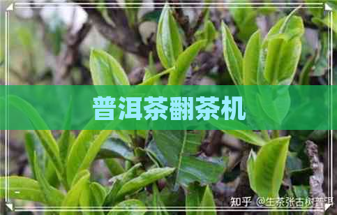 普洱茶翻茶机