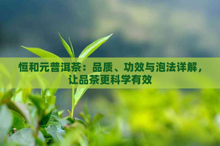 恒和元普洱茶：品质、功效与泡法详解，让品茶更科学有效