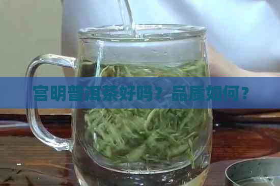 宫明普洱茶好吗？品质如何？