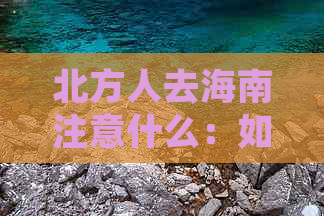 北方人去海南注意什么：如何适应气候与习俗，享受美好时光？